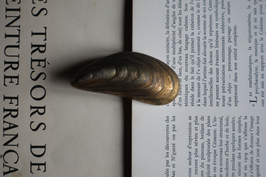 Brass Mussel Shell Paperclip