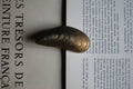 Brass Mussel Shell Paperclip