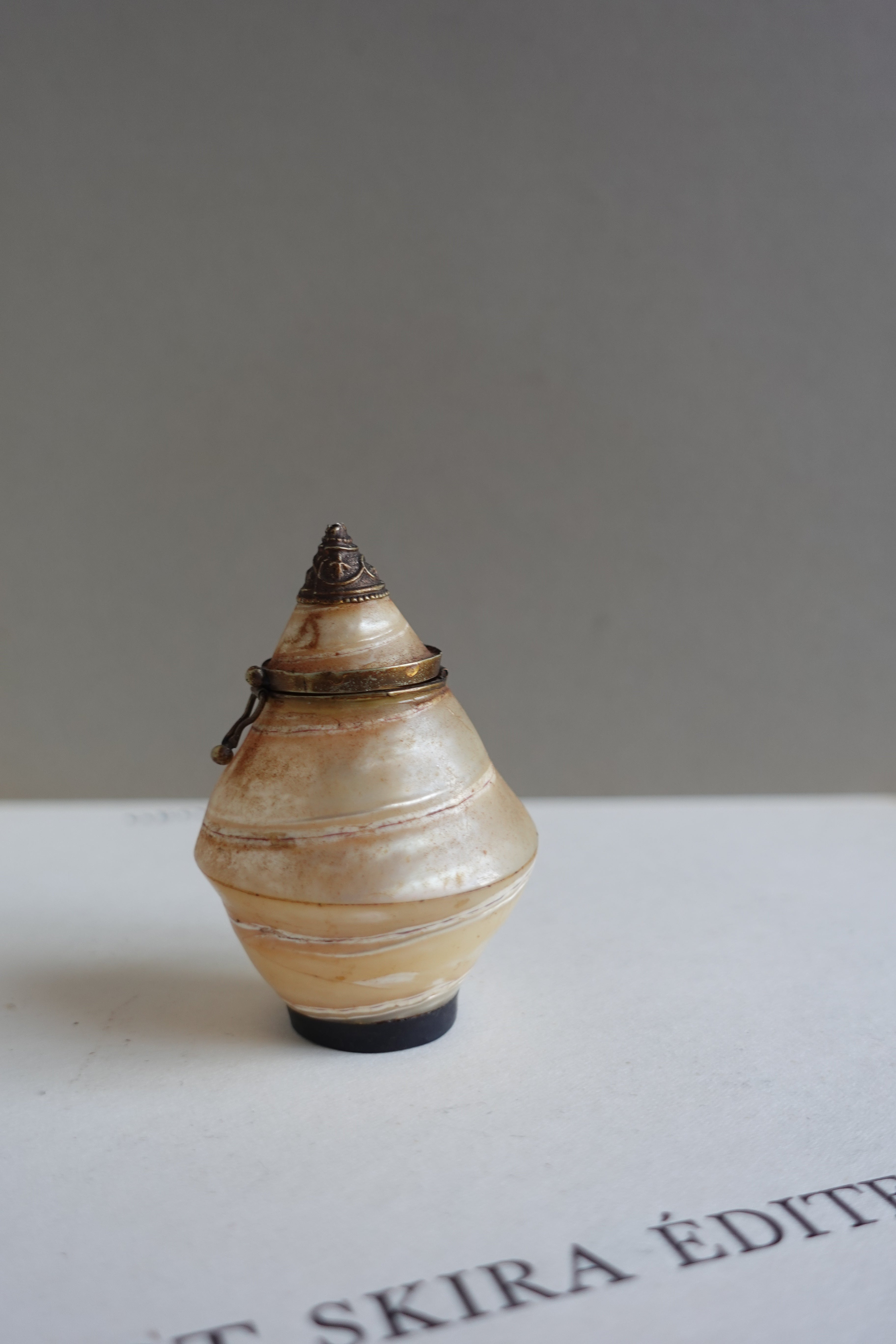 Antique Shell Snuff Box
