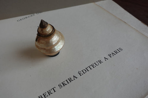 Antique Shell Snuff Box