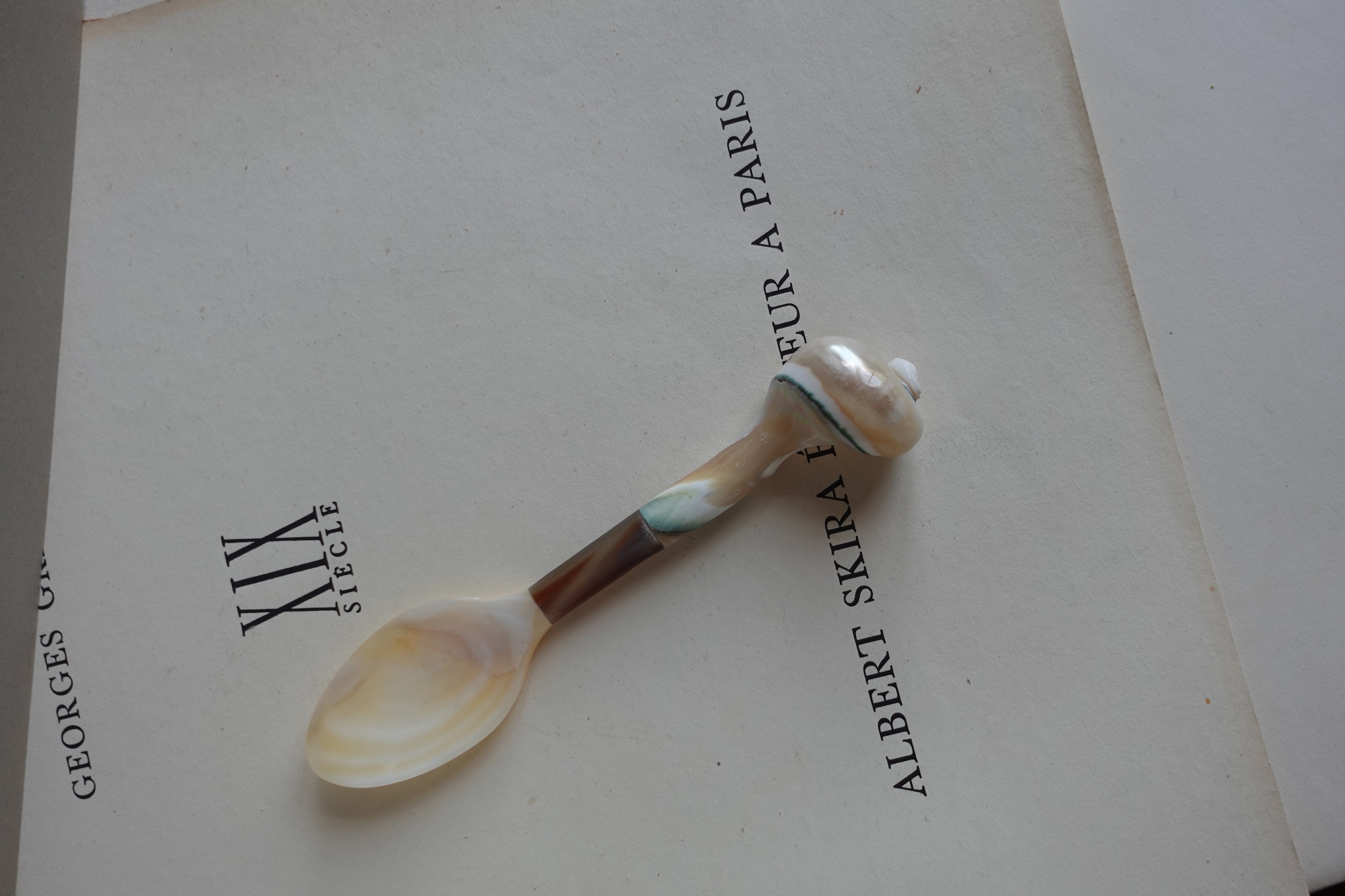 Mother-of-Pearl Caviar Spoon