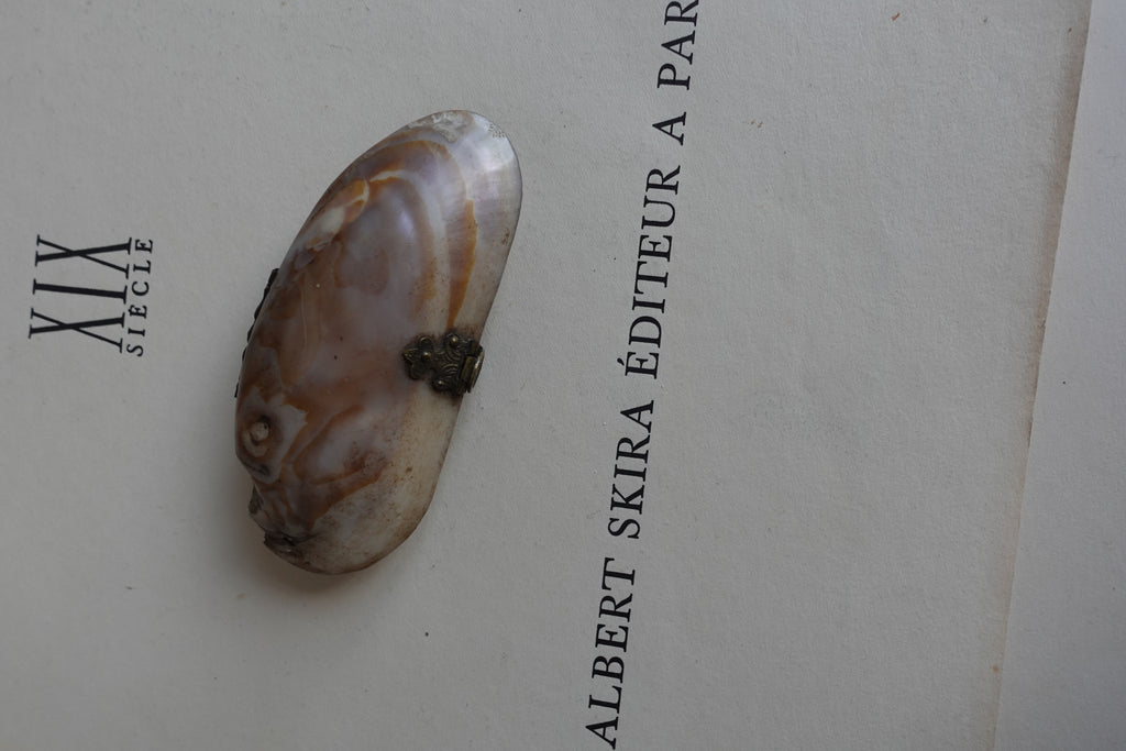 Antique Shell Calling Card Wallet