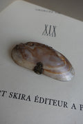 Antique Shell Calling Card Wallet